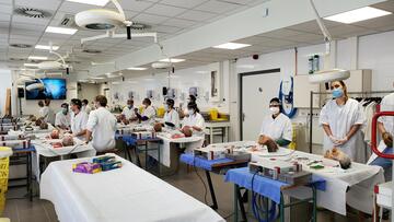 2025 : COURS DE DISSECTION DE SEPTORHINOPLASTIE ESTHETIQUE & FONCTIONNELLE - 17-19 Mars